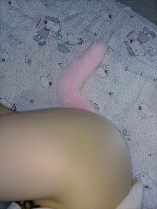 私藏大放送