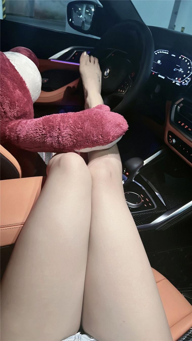 窈窕淑女君子好逑