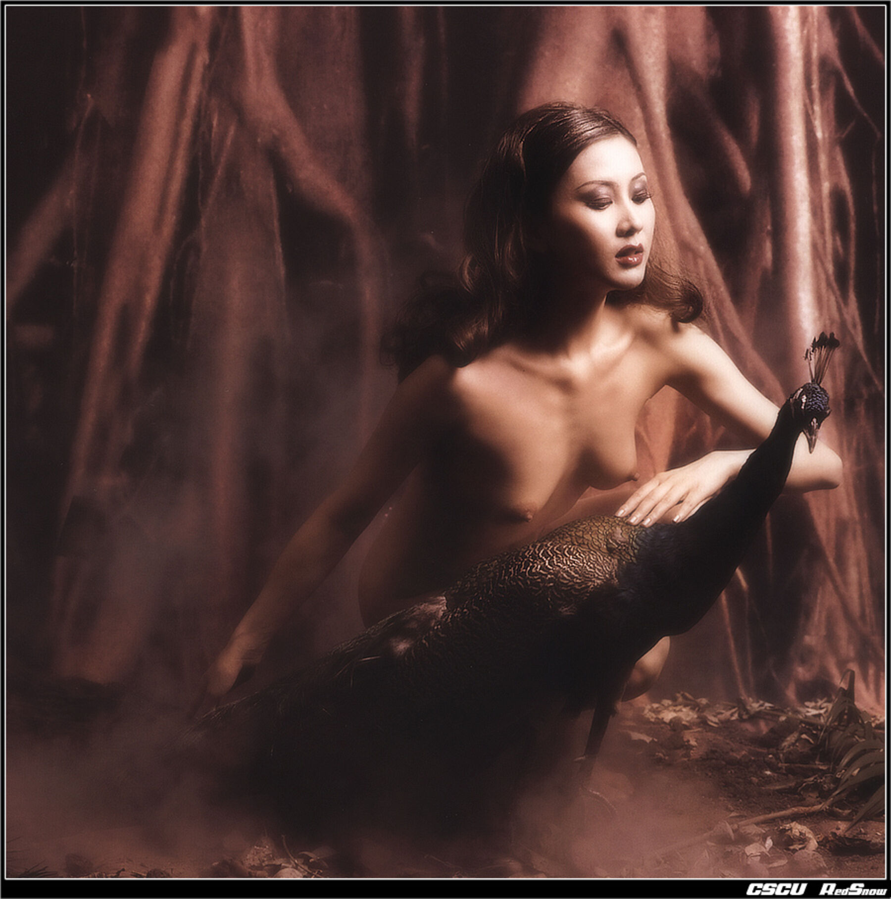 国模开山鼻祖汤加丽