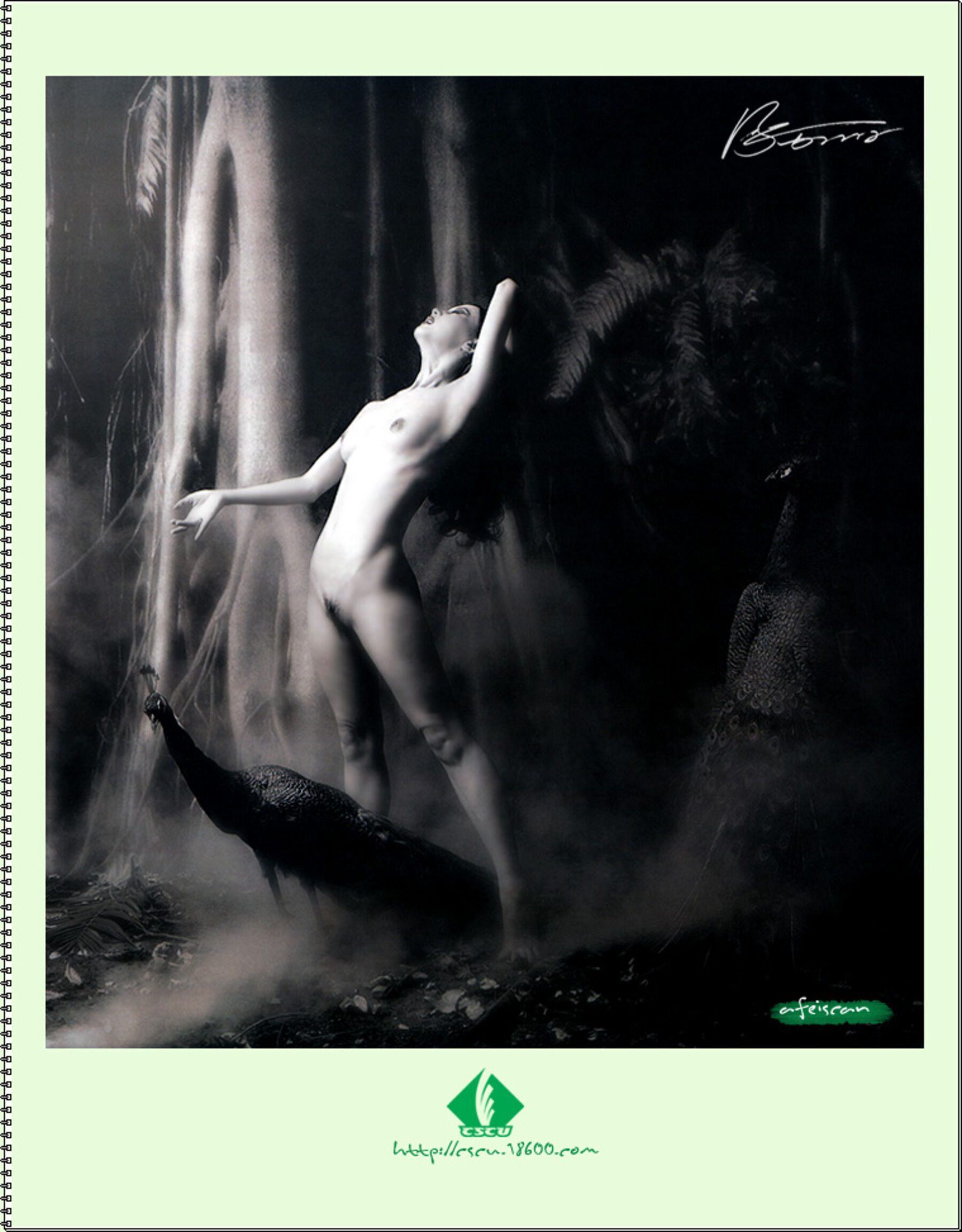 国模开山鼻祖汤加丽