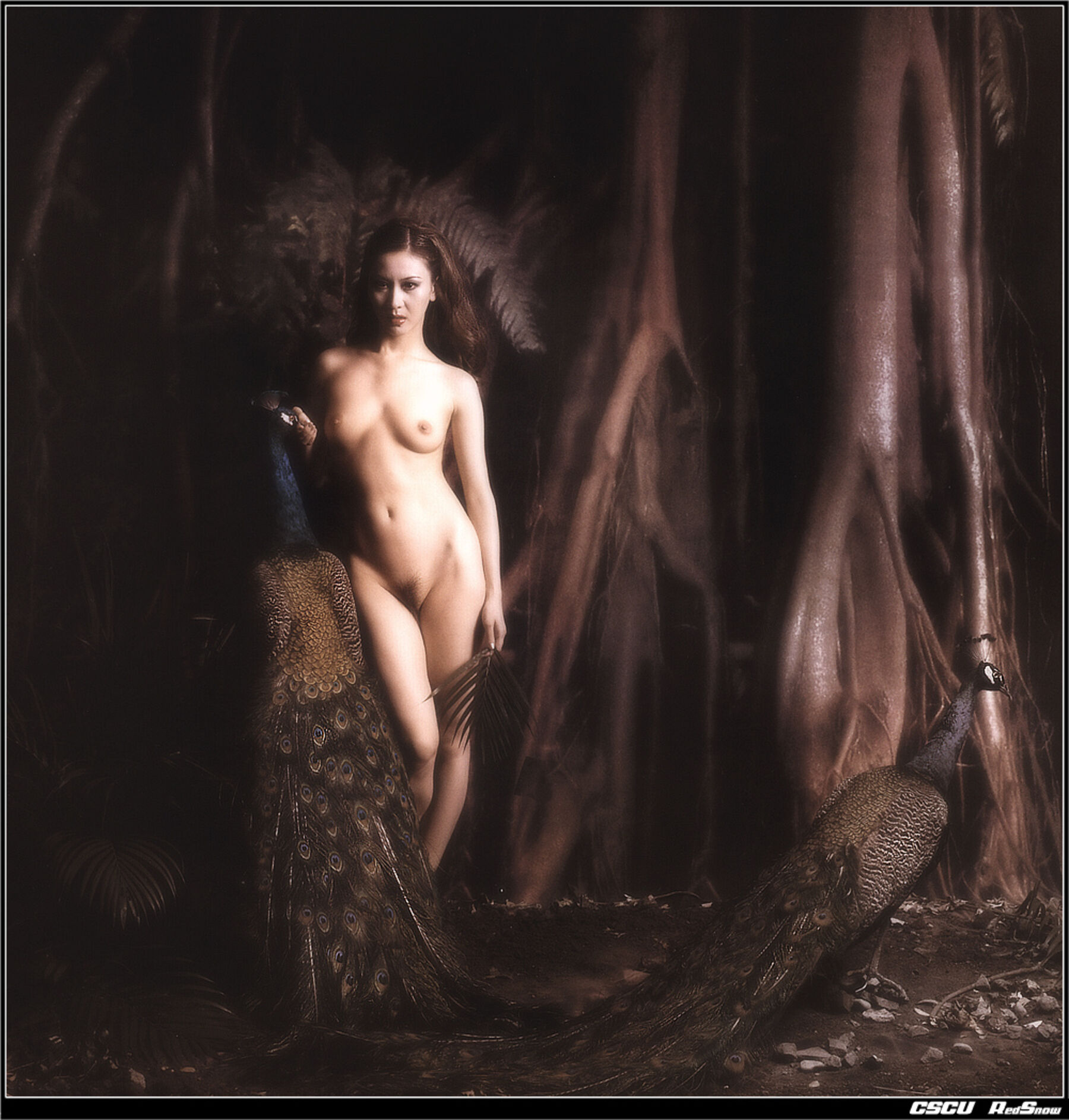 国模开山鼻祖汤加丽