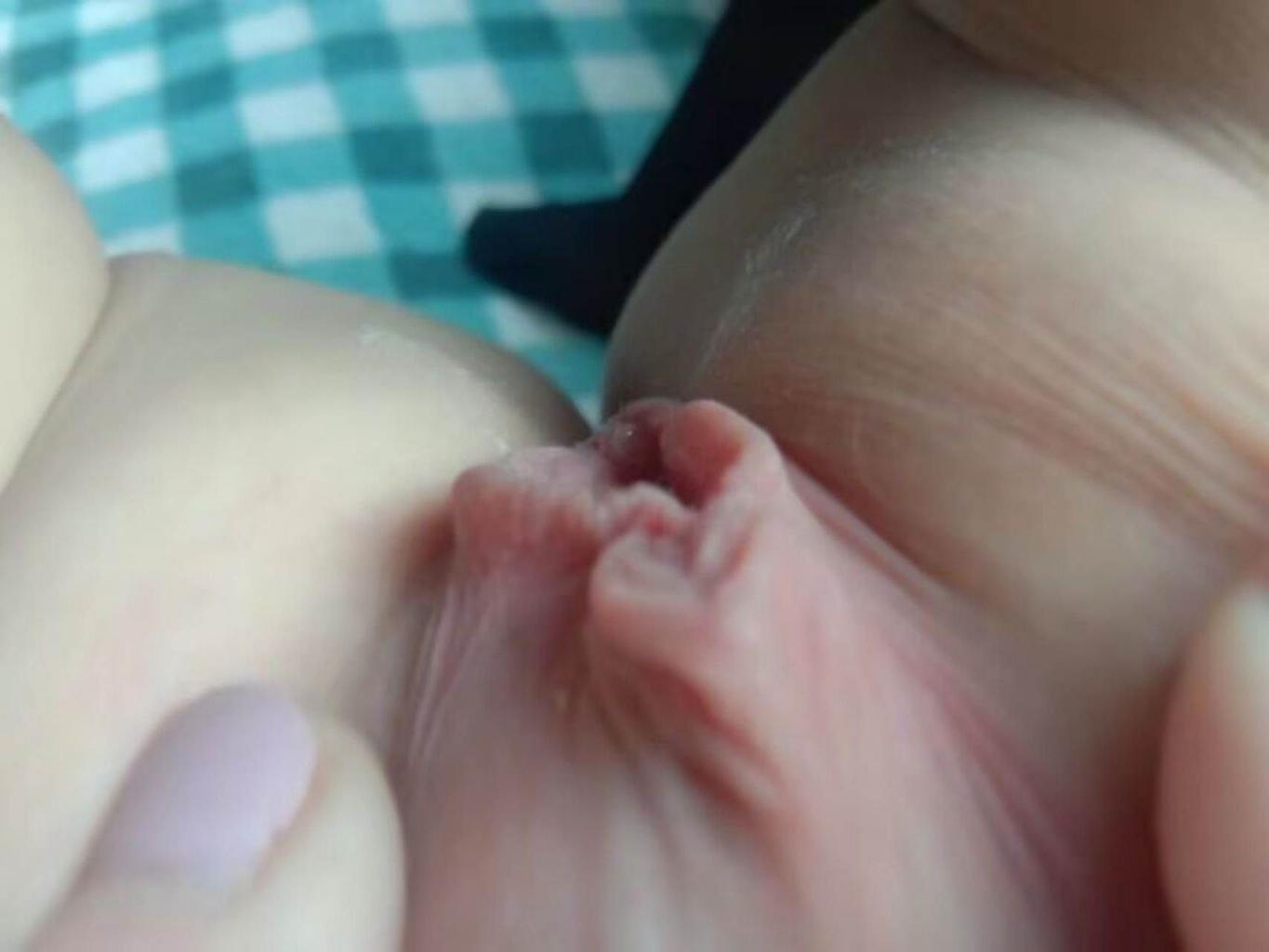 搜集的小学妹图片