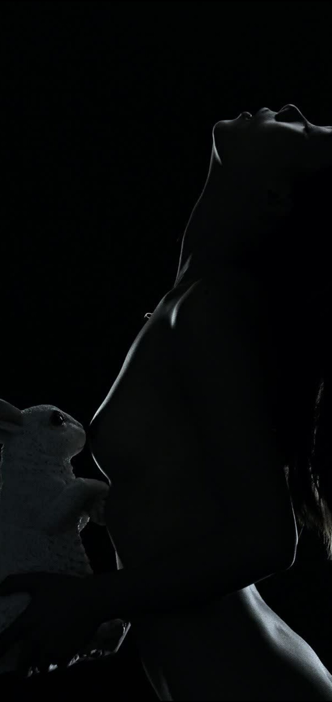 今年的平安夜圣诞节一点氛围都没有你们那怎么样今晚有的啪吗