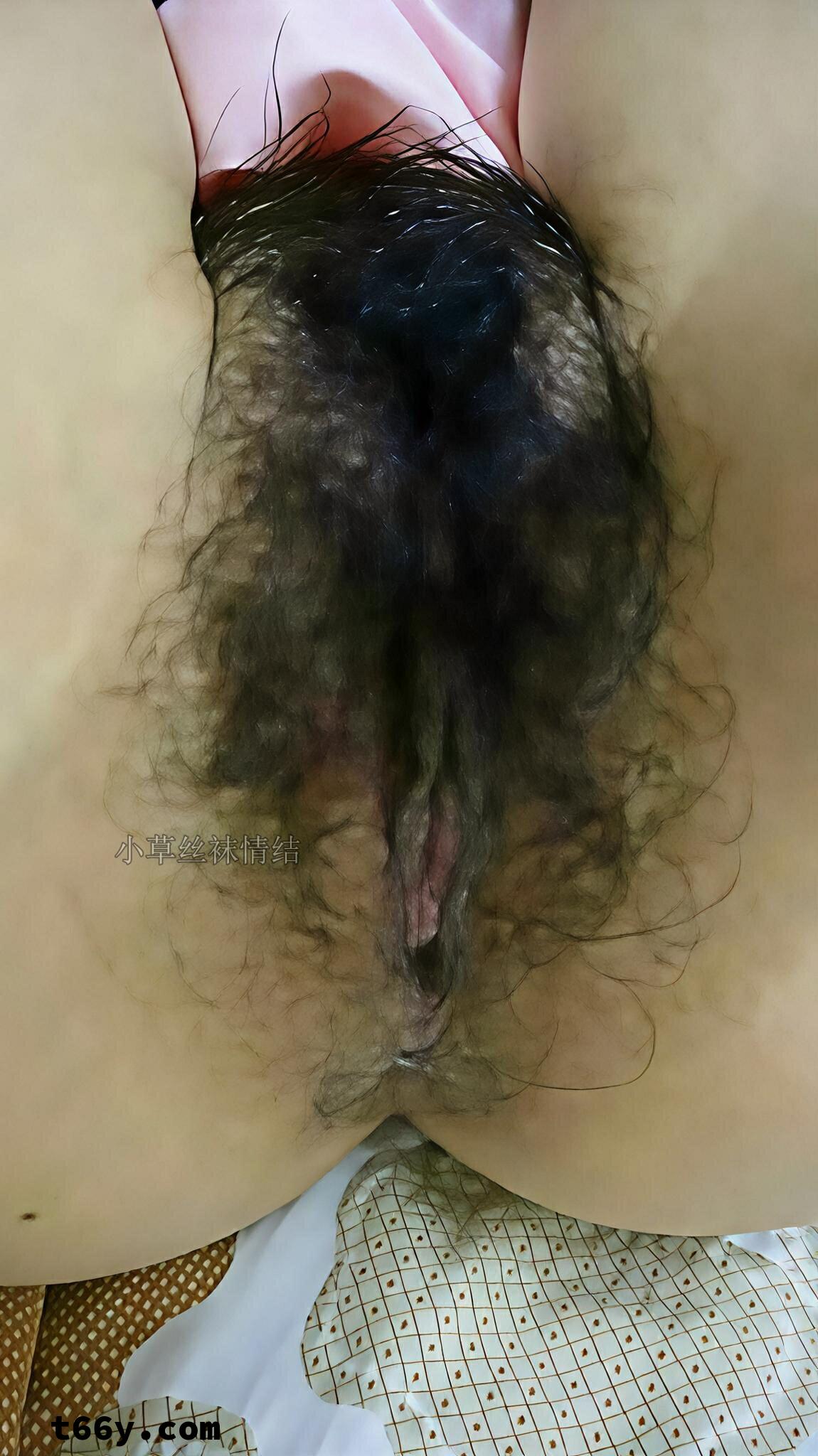 丝·欲：娇妻的禁忌三重奏